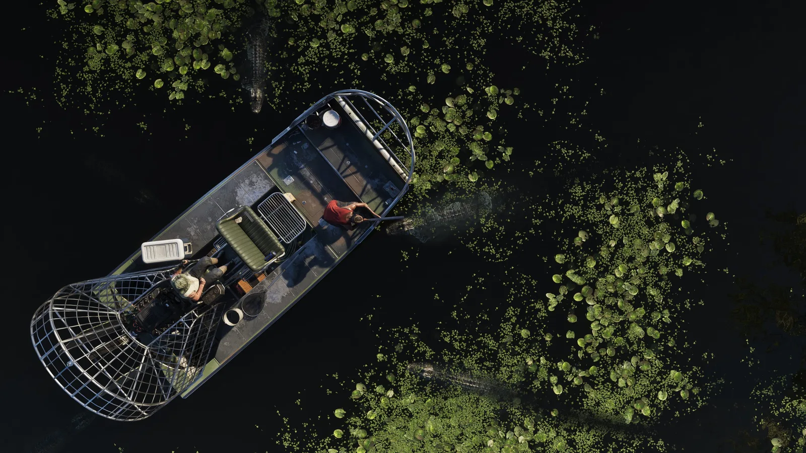 Aerial view of an airboat passing alligators in the Grassrivers wetlands in Grand Theft Auto VI