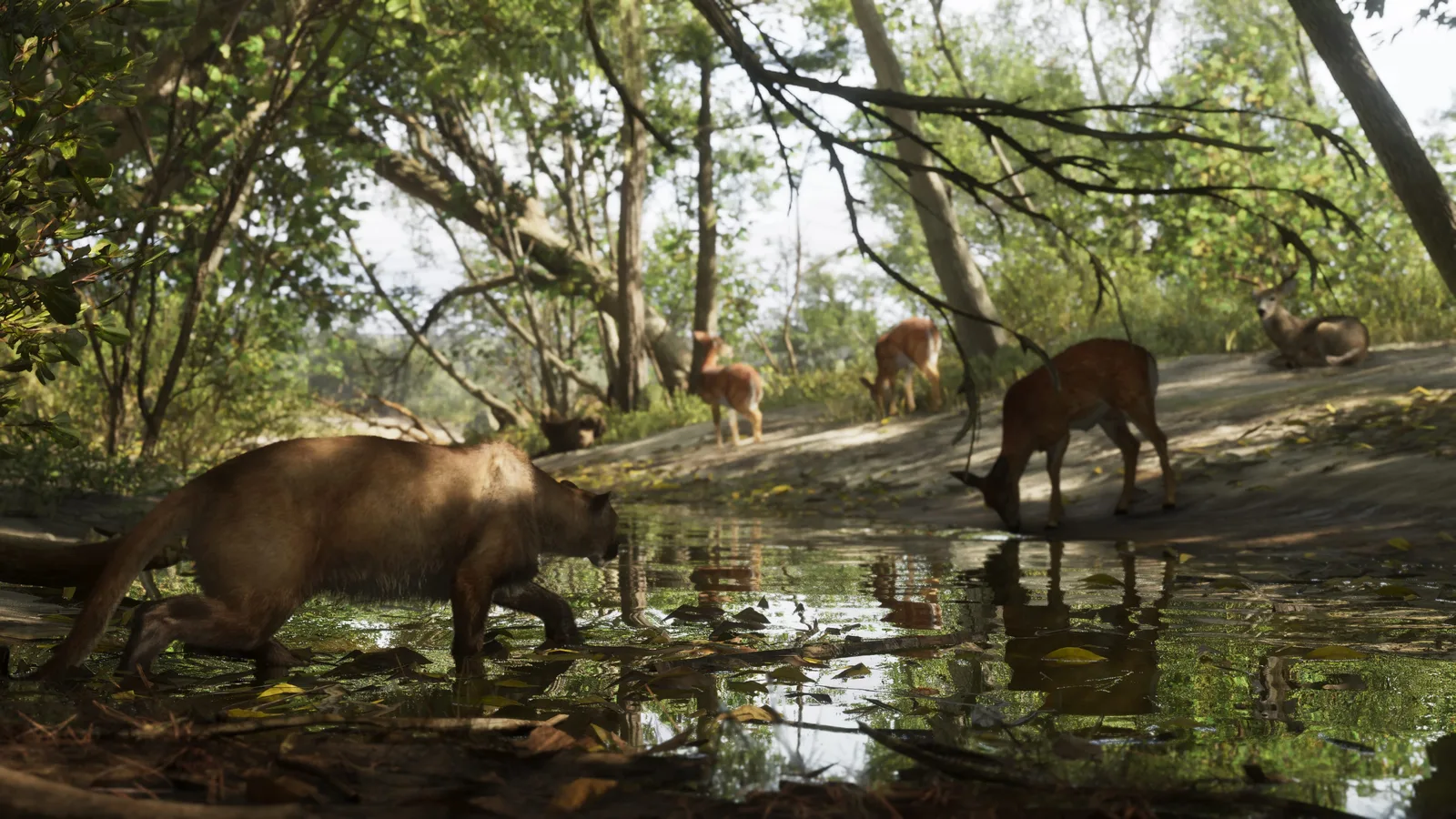 Official screenshot of a cougar approaching deer at a forest watering hole in Mount Kalaga National Park in Grand Theft Auto VI